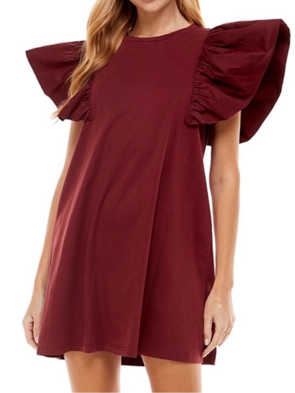TCEC Burgundy Ruffle Sleeve Mini Dress